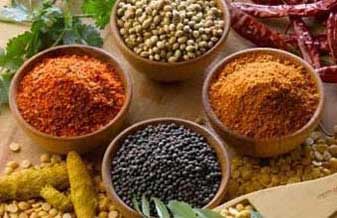 L e V Produtos Naturais - Foto 1