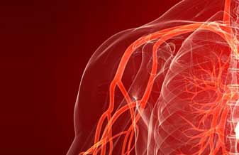 Instituto Paulista de Angiologia - Foto 1