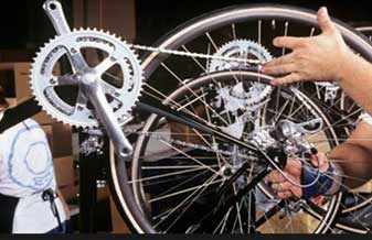 Ciclo Bianchini - Foto 1