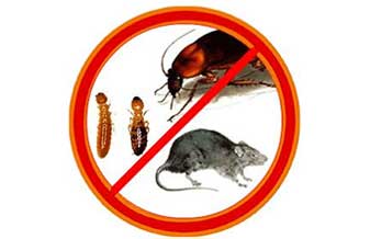 Flex Controle de Pragas - Foto 1