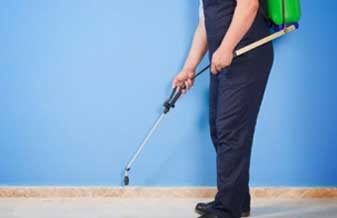 Flex Proteção - Foto 1