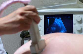 Regina Royes Ferrer - Foto 1