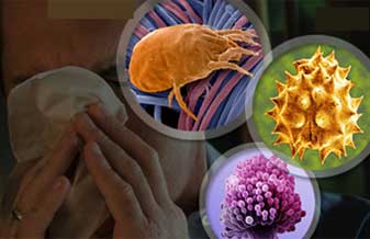 Instituto Imunologia - Foto 1