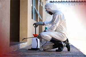 Hisan Resolve Dedetizadora - Foto 2