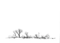 Movimento de Schoenstatt