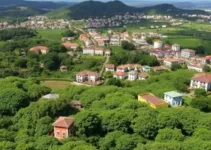 maior cafezal urbano do mundo