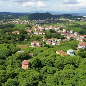 maior cafezal urbano do mundo