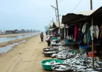 Tem Peixe na Vila