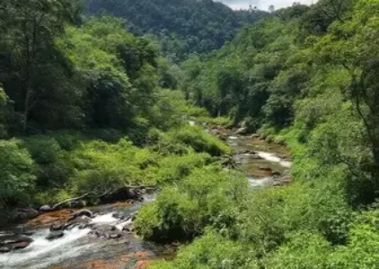 Últimas notícias de Vila Mariana